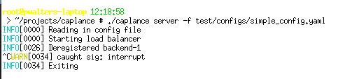 caplance server logging demo